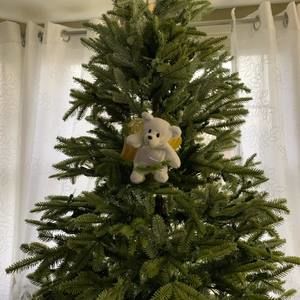 Meet your Posher, Annette